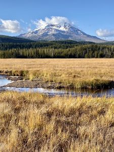 Preview wallpaper mountain, peak, forest, valley, grass, river, landscape