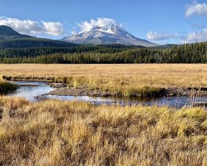 Preview wallpaper mountain, peak, forest, valley, grass, river, landscape