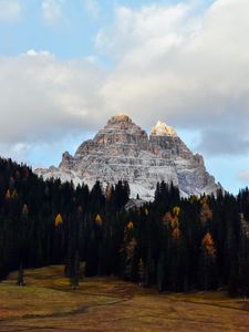 Preview wallpaper mountain, peak, forest, trees, landscape