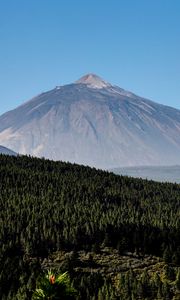 Preview wallpaper mountain, peak, forest, slope, trees