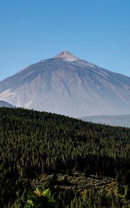 Preview wallpaper mountain, peak, forest, slope, trees