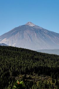 Preview wallpaper mountain, peak, forest, slope, trees