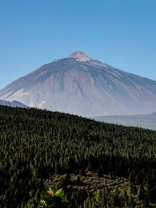 Preview wallpaper mountain, peak, forest, slope, trees