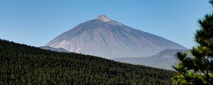 Preview wallpaper mountain, peak, forest, slope, trees