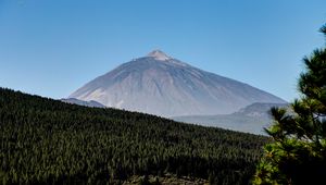 Preview wallpaper mountain, peak, forest, slope, trees