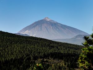 Preview wallpaper mountain, peak, forest, slope, trees