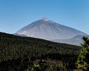 Preview wallpaper mountain, peak, forest, slope, trees