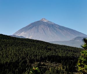 Preview wallpaper mountain, peak, forest, slope, trees