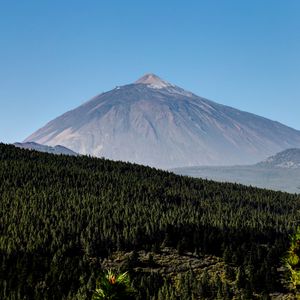 Preview wallpaper mountain, peak, forest, slope, trees