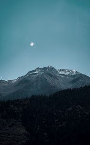 Preview wallpaper mountain, peak, forest, foothills, landscape
