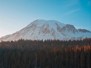 Preview wallpaper mountain, peak, forest, lake, ice