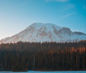 Preview wallpaper mountain, peak, forest, lake, ice