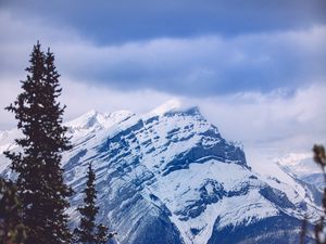 Preview wallpaper mountain, peak, forest, spruce, snowy