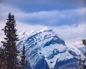 Preview wallpaper mountain, peak, forest, spruce, snowy