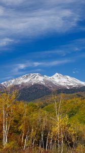 Preview wallpaper mountain, peak, forest, landscape