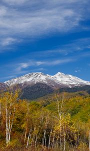 Preview wallpaper mountain, peak, forest, landscape