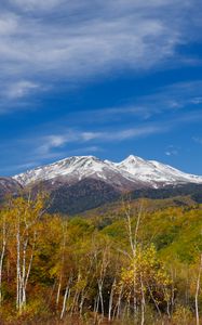 Preview wallpaper mountain, peak, forest, landscape