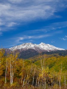 Preview wallpaper mountain, peak, forest, landscape