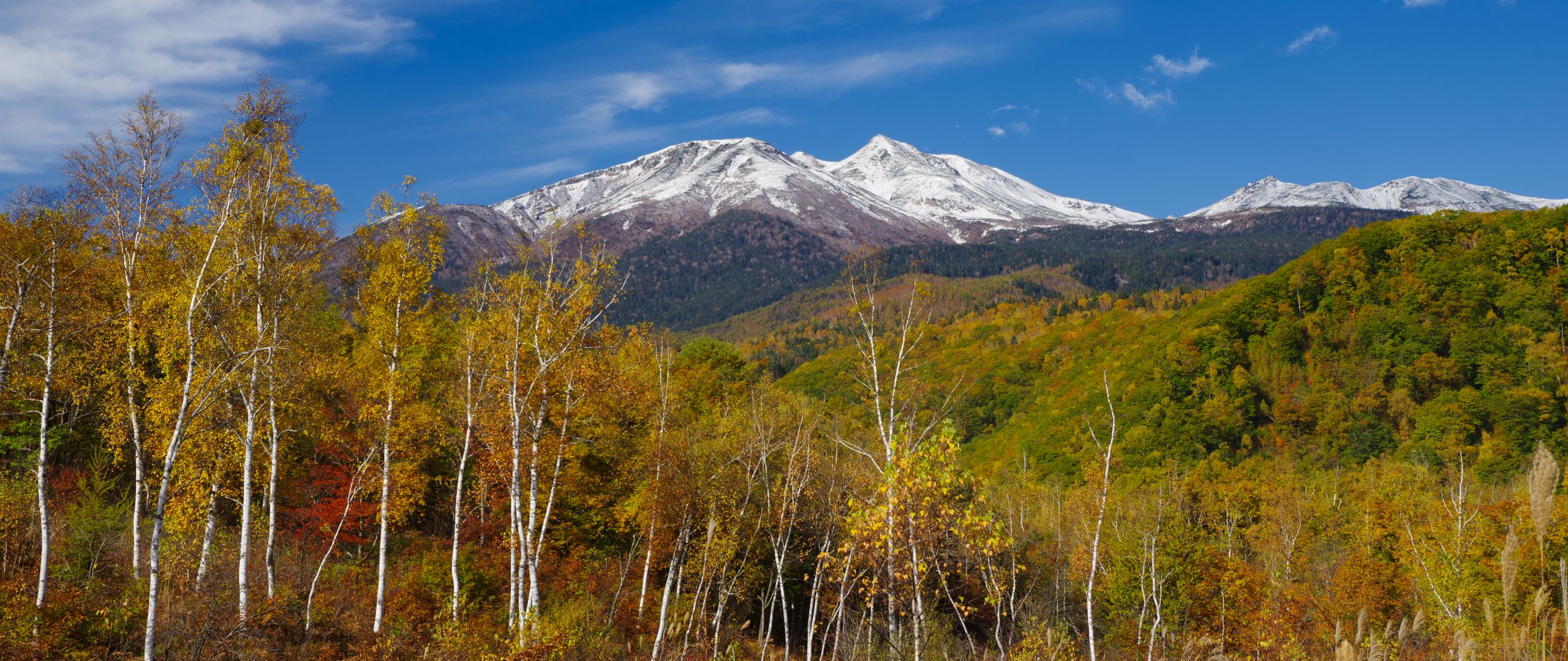 Download wallpaper 2560x1080 mountain, peak, forest, landscape dual