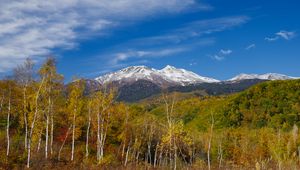 Preview wallpaper mountain, peak, forest, landscape
