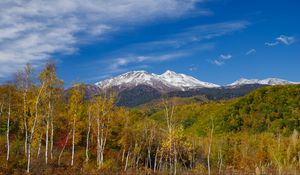 Preview wallpaper mountain, peak, forest, landscape