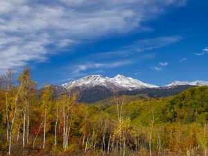Preview wallpaper mountain, peak, forest, landscape