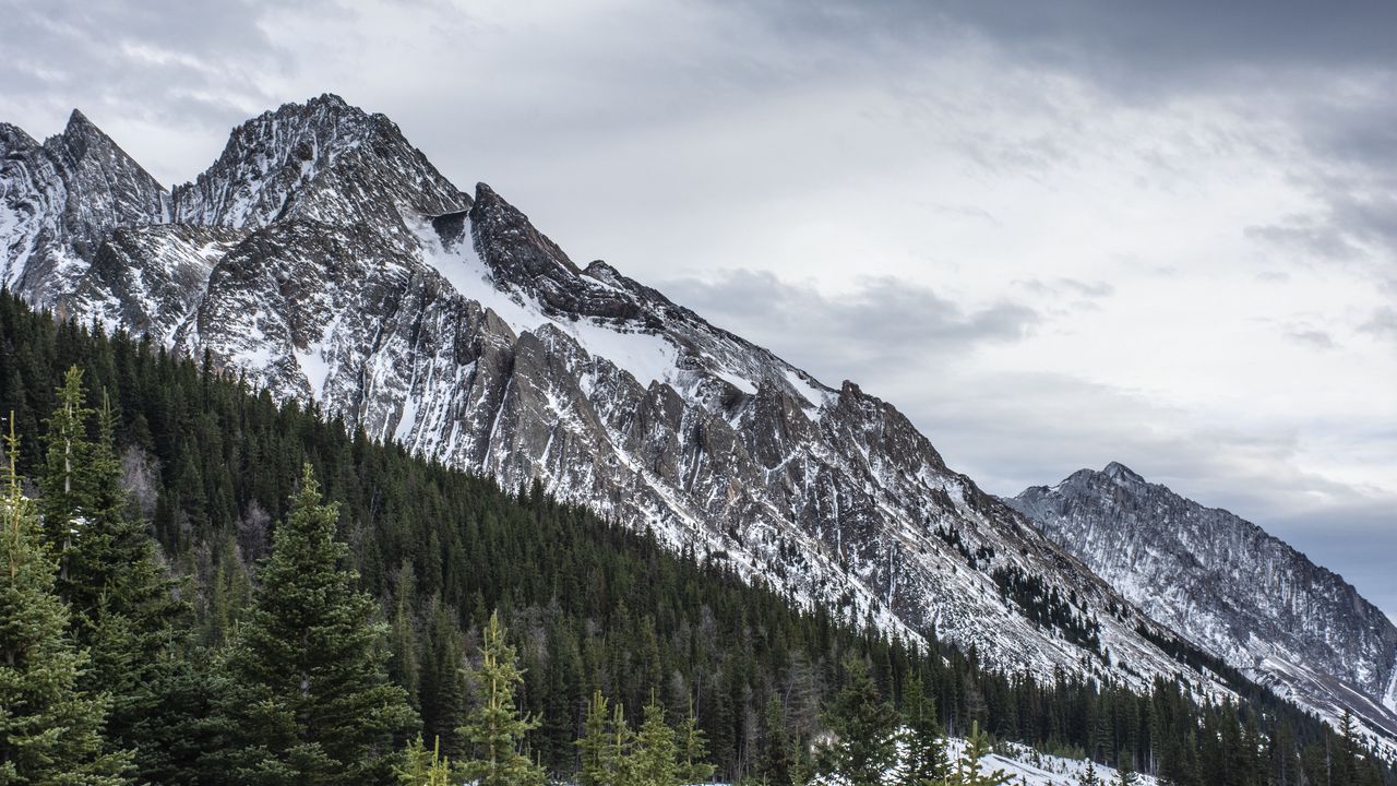 Wallpaper mountain, peak, forest, snow, landscape