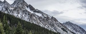 Preview wallpaper mountain, peak, forest, snow, landscape