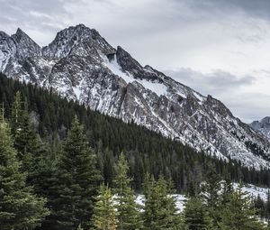 Preview wallpaper mountain, peak, forest, snow, landscape