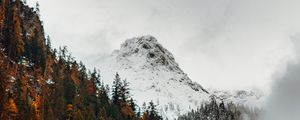 Preview wallpaper mountain, peak, forest, snow, autumn