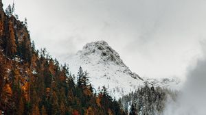 Preview wallpaper mountain, peak, forest, snow, autumn