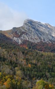 Preview wallpaper mountain, peak, forest, trees, slope