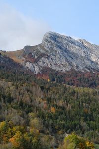 Preview wallpaper mountain, peak, forest, trees, slope