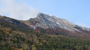 Preview wallpaper mountain, peak, forest, trees, slope