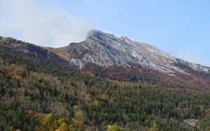 Preview wallpaper mountain, peak, forest, trees, slope