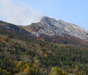 Preview wallpaper mountain, peak, forest, trees, slope