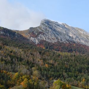 Preview wallpaper mountain, peak, forest, trees, slope