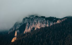 Preview wallpaper mountain, peak, forest, clouds