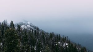 Preview wallpaper mountain, peak, forest, fog, snow, trees