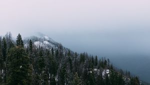Preview wallpaper mountain, peak, forest, fog, snow, trees