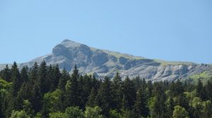 Preview wallpaper mountain, peak, forest, trees