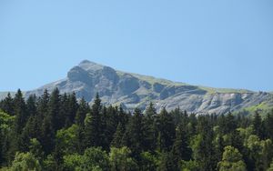 Preview wallpaper mountain, peak, forest, trees