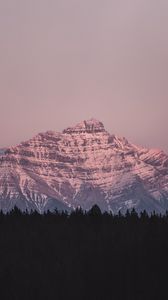 Preview wallpaper mountain, peak, forest, landscape, dusk