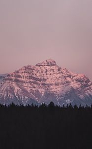 Preview wallpaper mountain, peak, forest, landscape, dusk