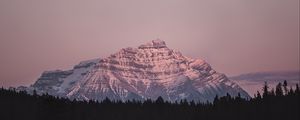 Preview wallpaper mountain, peak, forest, landscape, dusk