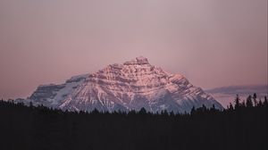 Preview wallpaper mountain, peak, forest, landscape, dusk