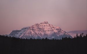 Preview wallpaper mountain, peak, forest, landscape, dusk