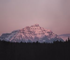 Preview wallpaper mountain, peak, forest, landscape, dusk