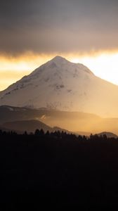 Preview wallpaper mountain, peak, forest, trees, snow, landscape