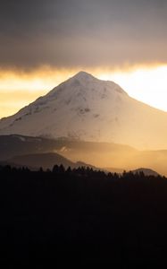 Preview wallpaper mountain, peak, forest, trees, snow, landscape